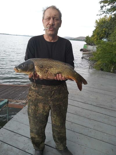  ,   , 59 ,   ,   