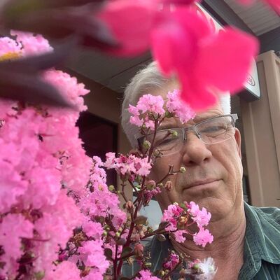  Biddeford,   Williams Mor, 63 ,   ,   