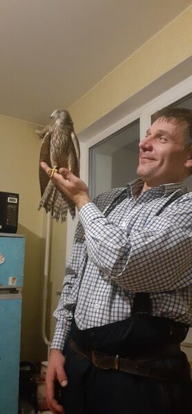  ,   , 50 ,   ,   , c , 