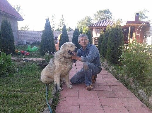  ,   , 55 ,   , 