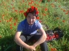  ,   Tilek, 31 ,   ,   , c 