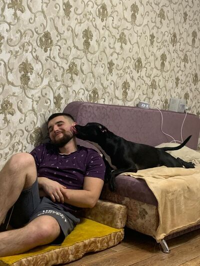  ,   German, 25 ,   ,   