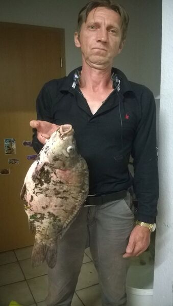  ,   Vadim, 58 ,   ,   , c 