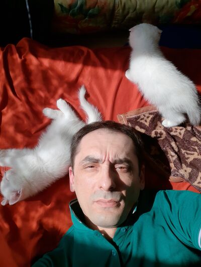  ,   , 44 ,   ,   , c , 