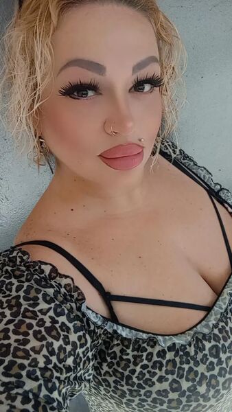  --,   , 38 ,   ,   