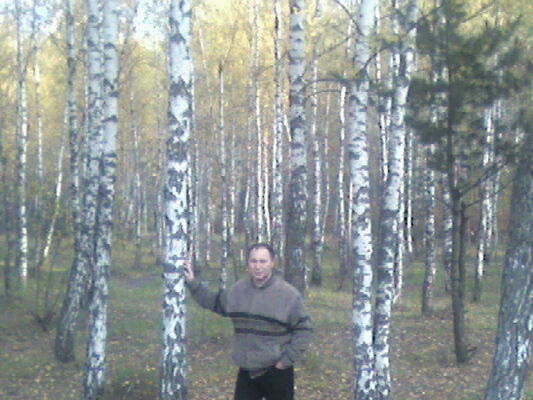  ,   , 53 ,   