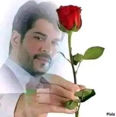  -,   Terlan, 46 ,   ,   