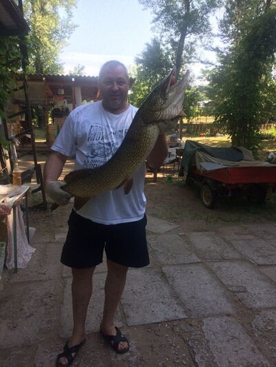  ,   Vov, 49 ,   ,   , c 