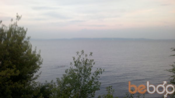 ���������� ��������, ���� ������� ����, 41 ���, ������������ ��� ������, ����� � ���������, c�������� ���������