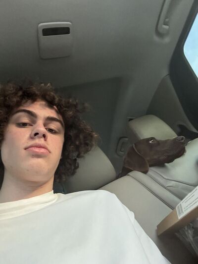  --,   , 19 ,   ,   