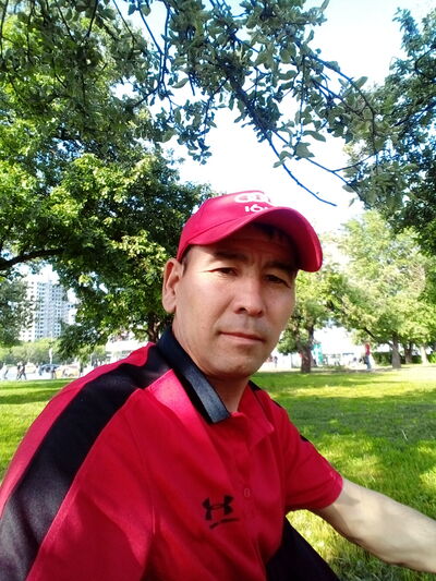  ,    , 43 ,   ,   