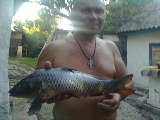  ,   , 58 ,   , 