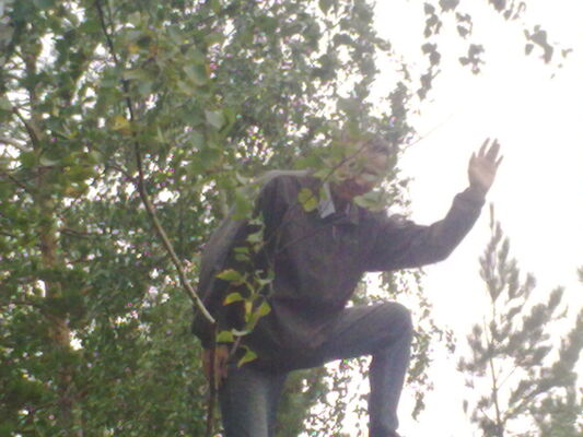  ,   , 53 ,   