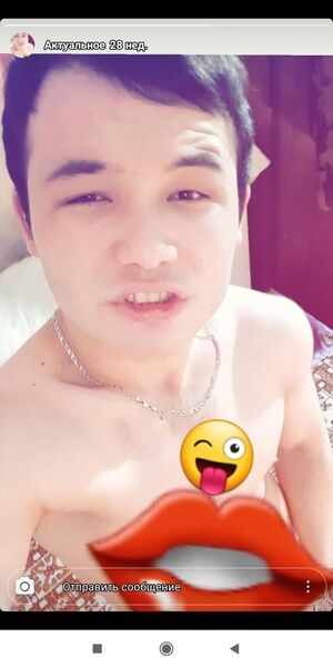  ,   Dostoncik, 102 ,   ,   