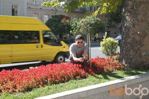  3302592  Nokoli, 40 ,    