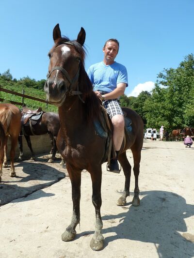  ,   , 51 ,   ,   , c 