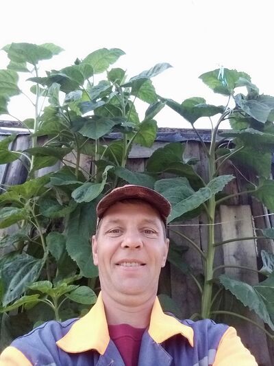  ,   , 47 ,     , c , 