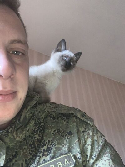  ,   , 29 ,   c 