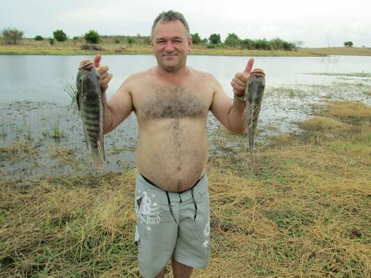  ,   Mike, 64 ,   ,   , c 