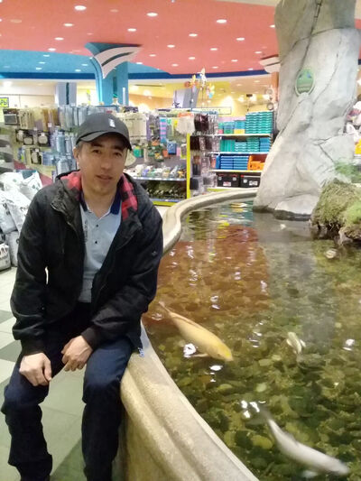  -,   , 39 ,   ,   