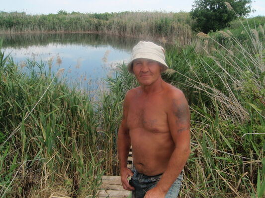  ,   , 58 ,  