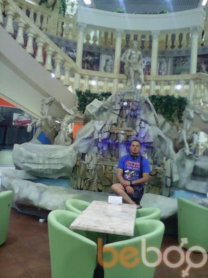 ���������� ����, ���� ������� �������, 48 ���, ������������ ��� ������