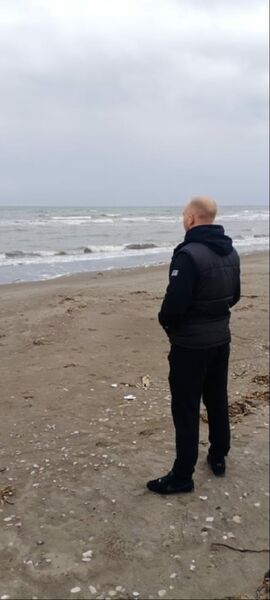  ,   , 36 ,   ,   , 