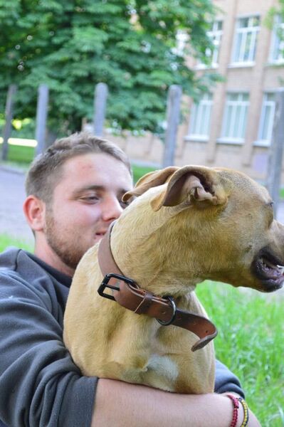  ,   Sven, 23 ,   ,   