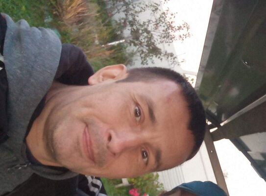  -,   , 44 ,   ,   