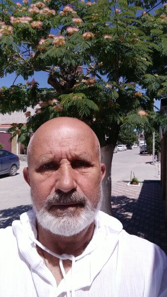  -,   , 60 ,   