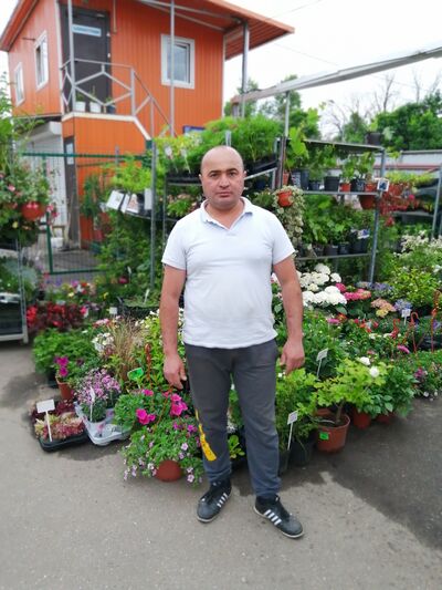   ,   , 44 ,   ,   