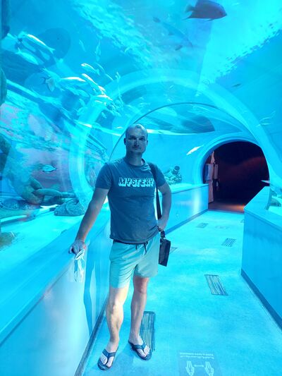  ,   Vladimir, 37 ,   ,   , c 
