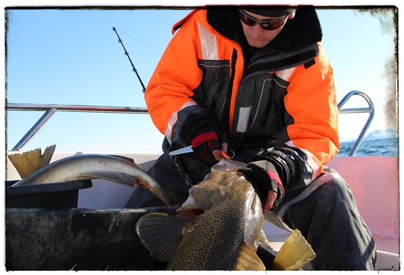  ,   Pampers, 35 ,   ,   