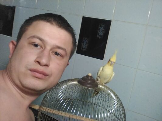  ,   , 34 ,   