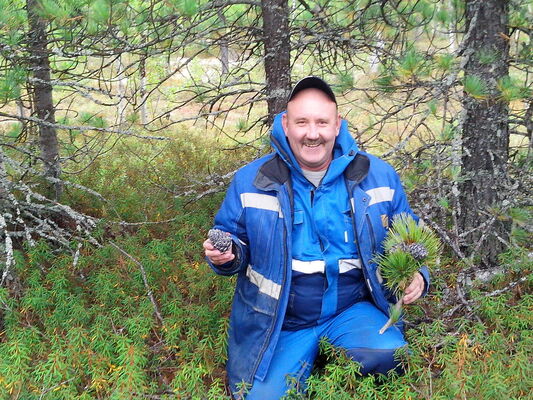  ,   , 65 ,   