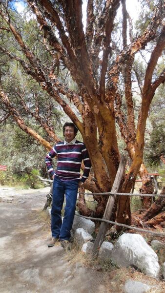  ,   Ignacio, 34 ,   ,   