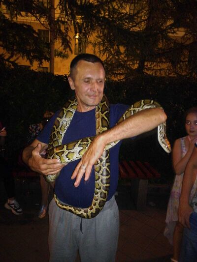  ,   , 54 ,   c 