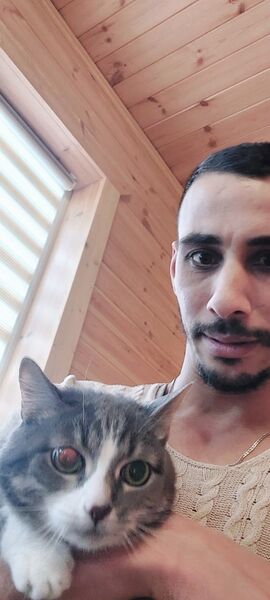  ,   Med ali, 33 ,   ,   