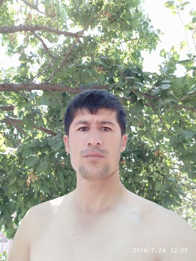  ,   Bahodir, 41 ,   ,   , c 