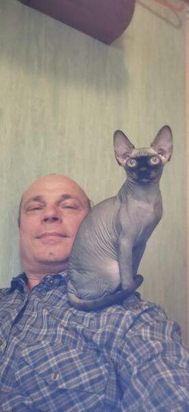  ,   , 52 ,     , c 