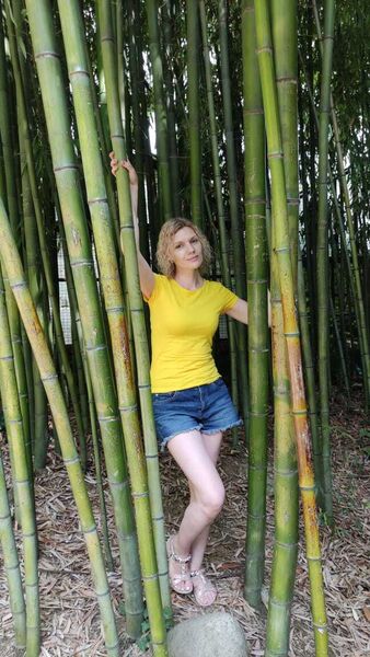  -,   , 43 ,   ,   , c 