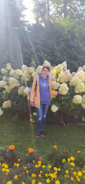 ,   , 44 ,     , c , 