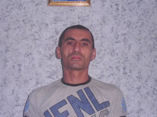  ,   German, 46 ,   