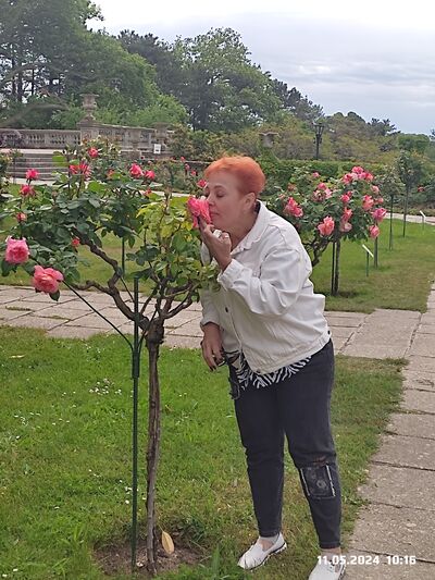  ,   , 52 ,     , c , 