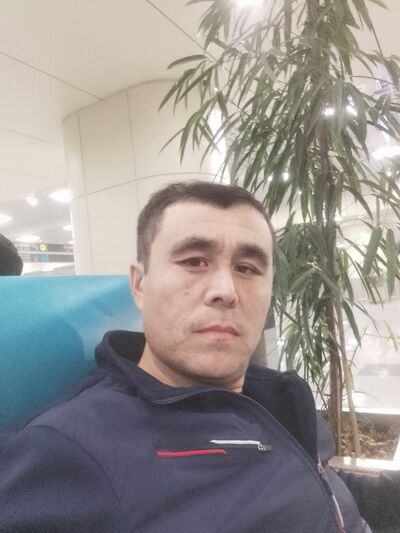  ,   , 38 ,   ,   