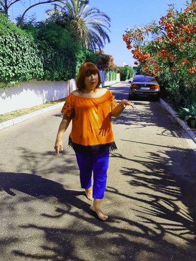 -,   , 66 ,   ,   , c 