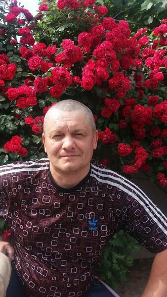  ,   , 54 ,   