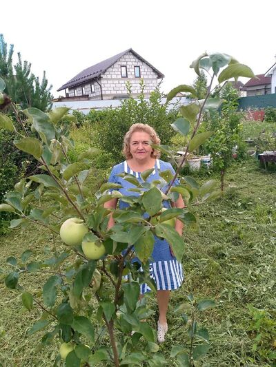  ,   , 68 ,   ,   