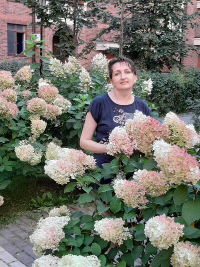  ,   , 42 ,   c , 