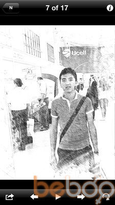  ,   SARDOR, 31 ,   ,   , c 